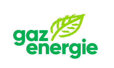 Verband der Schweizerischen Gasindustrie